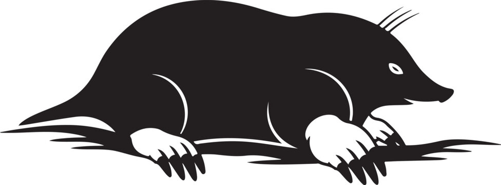 Vector badger illustration in black and white