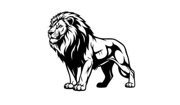 Alpha lion black silhouette vector illustration with powerful stance and flowing mane isolated on white background