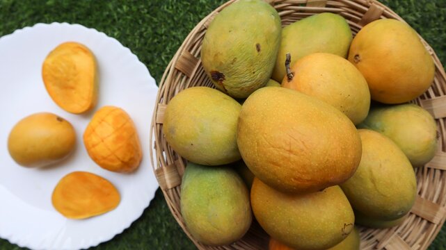 Delicious Mango in basket and served on plate. Juicy fresh ripe yellow mangoes.