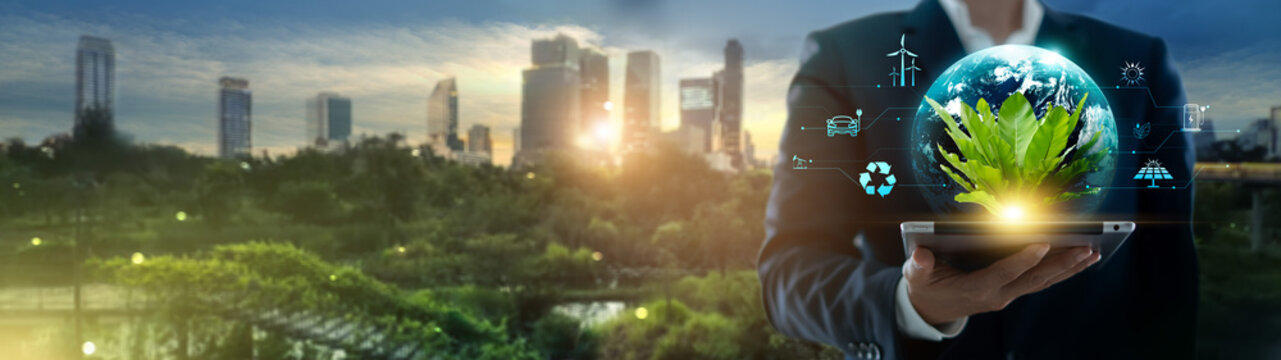 Businessman hold earth and nature green leaf inside, Green business, Business responsible environmental, Organization sustainable development environmental and, Ecology, Energy sources for renewable.