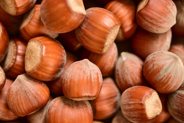 Obraz premium Hazelnuts viewed from above. Close-up, selective focus. Hazelnut background. 