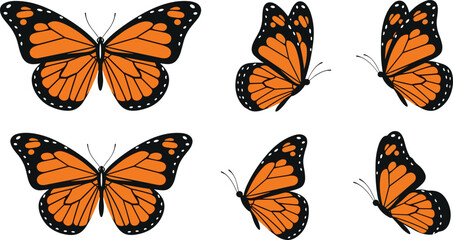 Monarch Butterfly Illustration Set with Multiple Wing Angles in Detailed Flat Style for Nature Design, Wildlife Graphics, Insect Studies, and Decorative Elements © MSTSULTANA