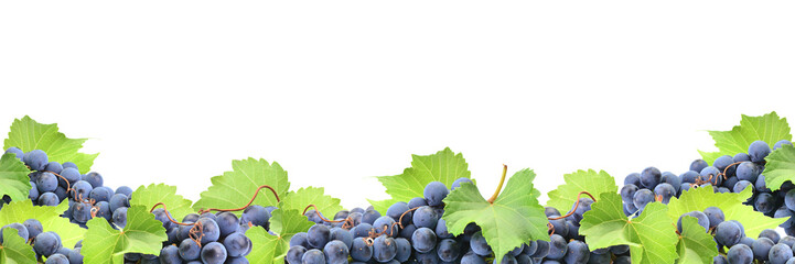 Obraz premium Grape fruit isolated