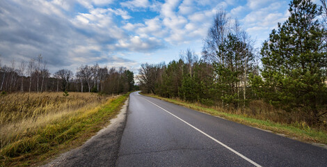 Obraz premium Lonely asphalt road curves gently through fall woods