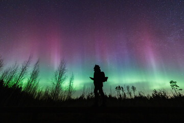 Fototapeta premium Silhouette of a backpacker standing in a forest, watching vibrant green and purple Aurora Borealis under a starry night sky.