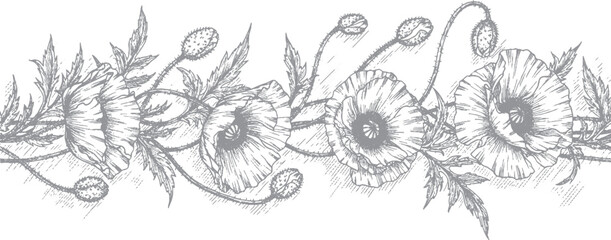 Sketchy border of poppy flowers and foliage, hand-drawn botanical illustration for elegant invitations and design, floral sketch © plustration