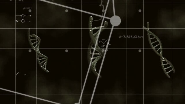 Grid forming, DNA helix drifting and rotating, nodes realigning and revealing equations for science