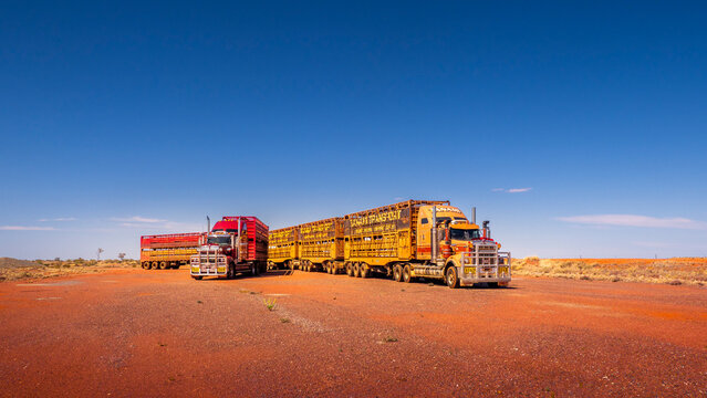 Animal transport road trains stopped in a parking lot along the Stuart Highway, Australia