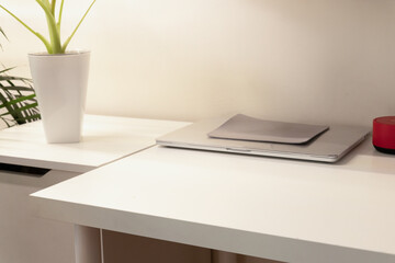 Warm desk setup with laptop and plant for evening study