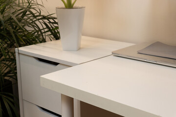 Clean desk corner with plant for calm study environment