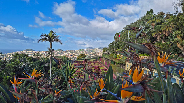 Botanischer Garten in Funchal