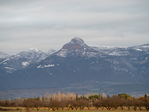 Stunning panoramic view of green agricultural fields in Huesca, Spain, with the Pyrenees mountains and Sierra de Guara in the distance under a clear sky.