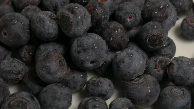 Close-up of a pile of fresh, damp blueberries on a white plate, captured on a rotating surface against a neutral grey background.