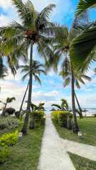 Fototapeta premium Tropical Path Leading to Sandy Beach Under Tall Palm Trees at Luxury Resort