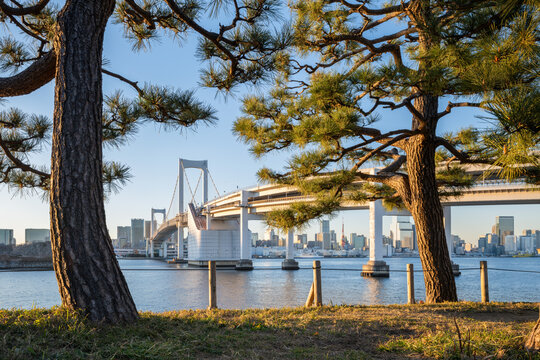 Rainbow Bridge in Tokyo, Japan