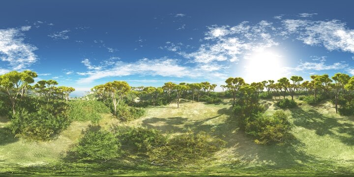 HDRI, environment map , Round panorama, spherical panorama, equidistant projection, panorama 360, Forest and swamp, 3d rendering