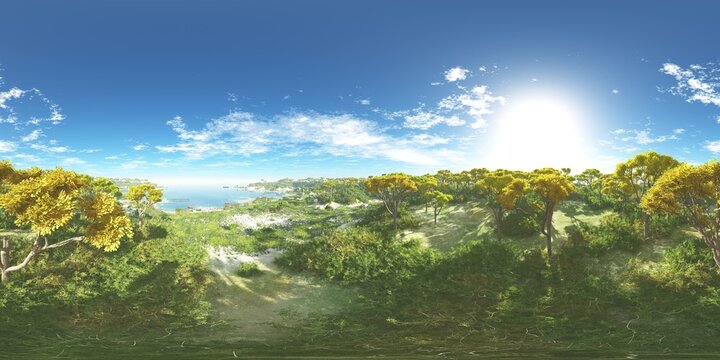 HDRI, environment map , Round panorama, spherical panorama, equidistant projection, panorama 360, Forest and swamp, 3d rendering