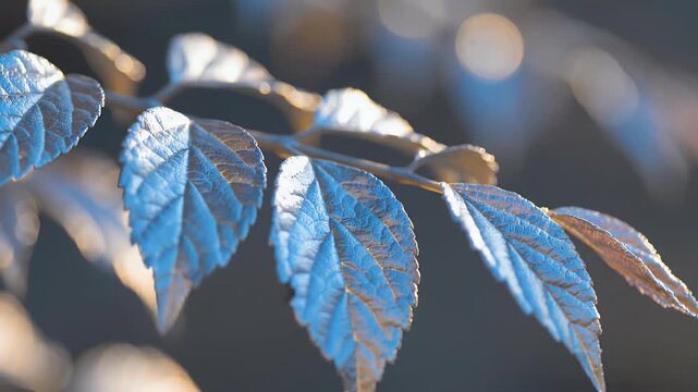 Close-up of metallic-coated leaves reflecting blue and gold light