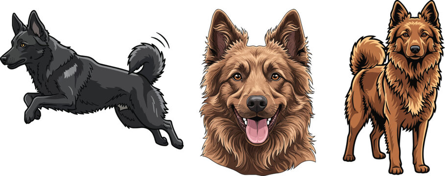 Hungarian Mudi dog jumping smiling headshot standing pose set