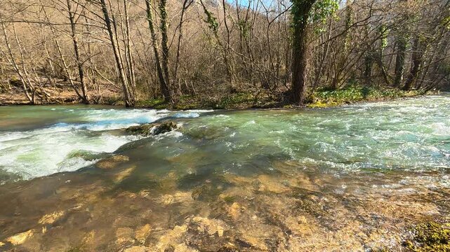 Close-Up Low Angle of Turquoise River Flowing Upstream Along Bank. Ozren Mountain, Sokobanja region. Balkans, Serbia.