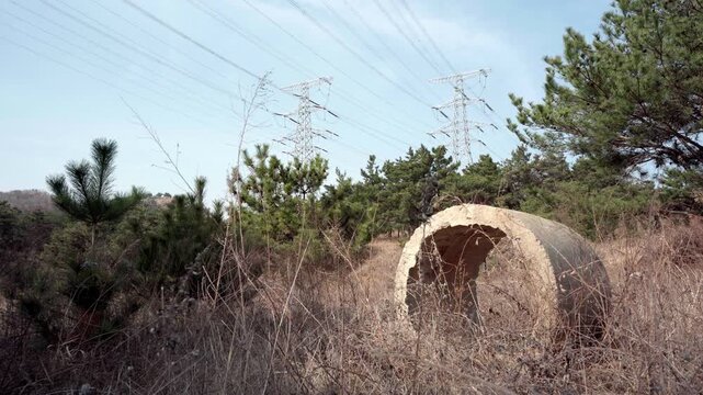 High-voltage power lines pass overhead through the pine forest, and an abandoned concrete pipe lies on the grassy ground.