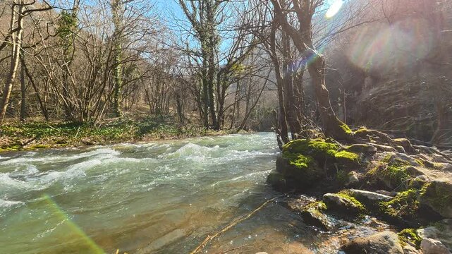 Static Low Angle of Turquoise River Flowing Along Shore. Ozren Mountain, Sokobanja region. Balkans, Serbia.