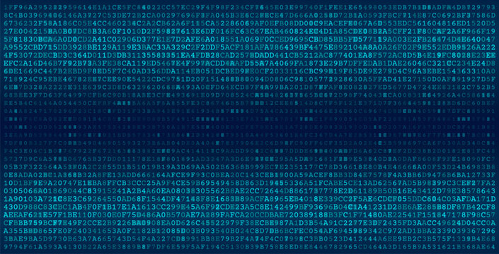 Bimodal Data Stream - Parallel Binary Processing Arrays