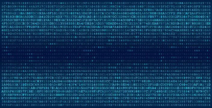 Bimodal Data Stream - Parallel Binary Processing Arrays