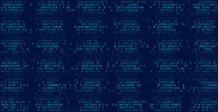 Digital Gridwork - A Structured Array of Binary Logic and Information Processing Blocks