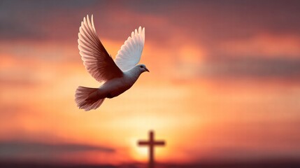Fototapeta premium Dove in Flight at Sunset with Cross