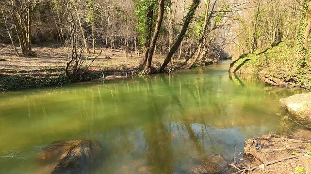 Green Forest River With Reflections. Ozren Mountain, Sokobanja region. Balkans, Serbia.