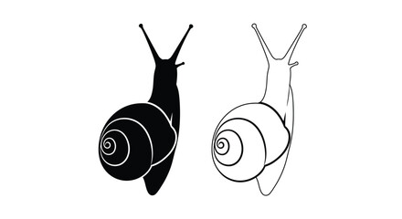 Two snail illustrations one solid and one outline a striking silhouette © md