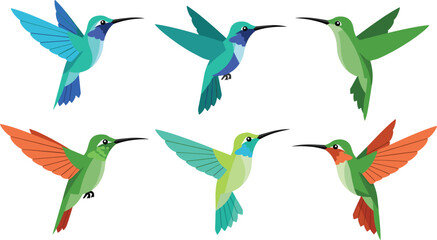 Colorful Hummingbird Flying Bird Icon Set with Stylized Tropical Wildlife Illustrations for Nature Design, Spring Graphics, Eco Branding, Stickers, and Educational Vector Collections © Mdsabbir