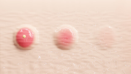 Fototapeta premium 3D Illustration of Skin Healing Progression.