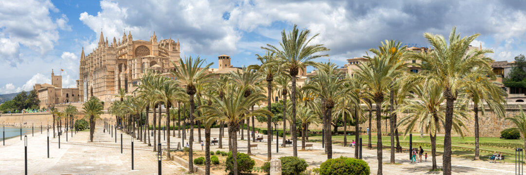 Mallorca Cathedral church panorama Catedral de Palma de Mallorca La Seu architecture in Spain