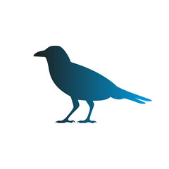 Fototapeta premium Blue Gradient Crow Silhouette Standing on White Background.