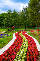 Fototapeta premium Scenic park pathway bordered by flowing rows of red and white flowers, creating a striking curved design through lush green surroundings.