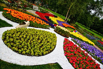 Fototapeta premium Bright geometric flower arrangements divided by white gravel paths create a striking visual composition in a well-maintained park.