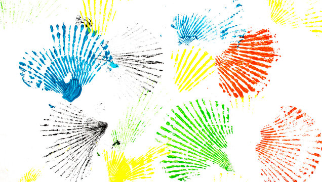 Fondo blanco pintado con conchas, vieiras de colores