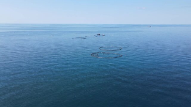 Footage of fish ponds, the main form of aquaculture. Salmon, sea bass, sea bream and trout are the most commonly grown fish in fish ponds used for commercial fishing in the sea, lakes and ponds.
