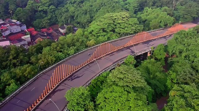 Aerial View of a Curved Bridge in the Middle of a Tropical Green Forest