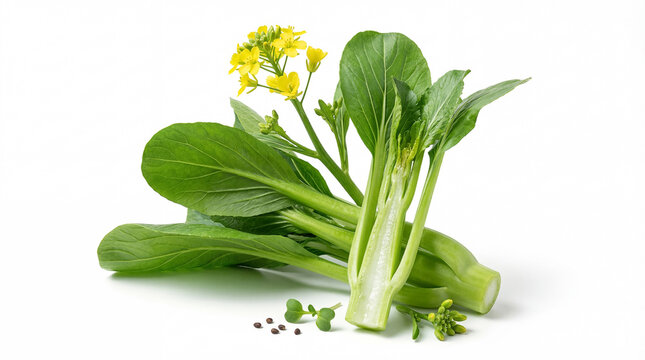 Choy sum plant with cut juicy stem, seedling and seed isolated on white background.