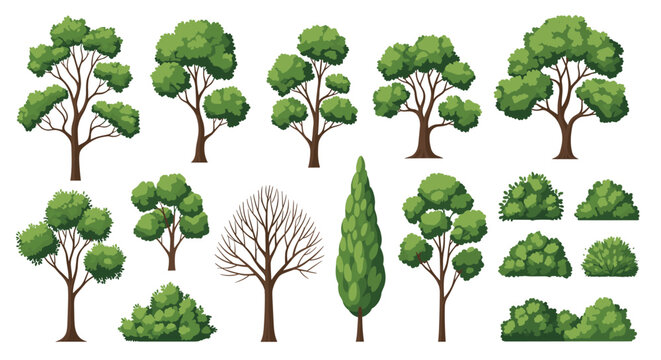 Diverse collection of green trees and bushes alongside a single bare winter tree provides a complete set of landscape vegetation icons.