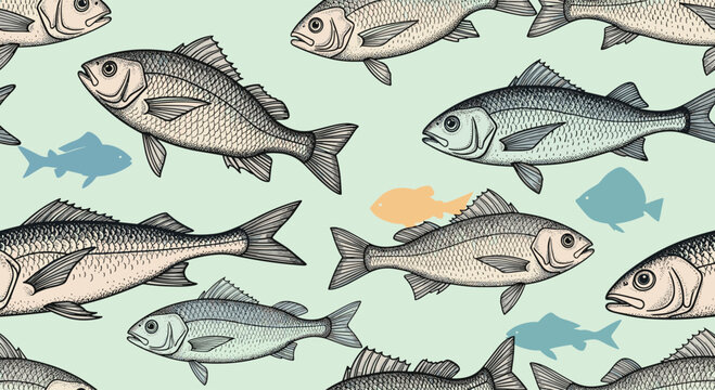 Seamless pattern of various illustrated fish in a detailed hand drawn sketch style on a light green watery background.