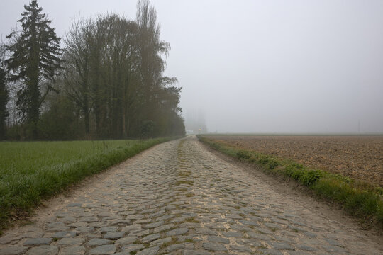 route en pav&eacute; emprunt&eacute; par la course cycliste du paris Roubaix avec du brouillard secteur de l arbre