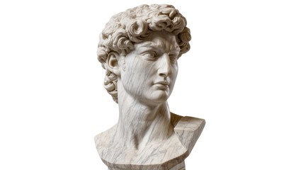 Isolated David marble bust sculpture. Renaissance classical art masterpiece on display © Maria