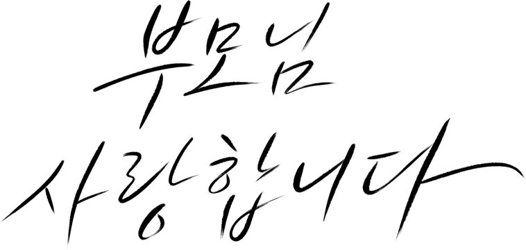 부모님 사랑합니다 감성 카네이션 타이포 디자인