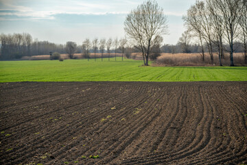 Naklejka premium Aerial view of agricultural fields with green and brown squares in early spring