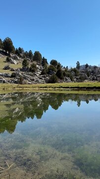 The awakening of nature with the arrival of spring, the texture of snow-covered mountains and their reflections in the pond.
