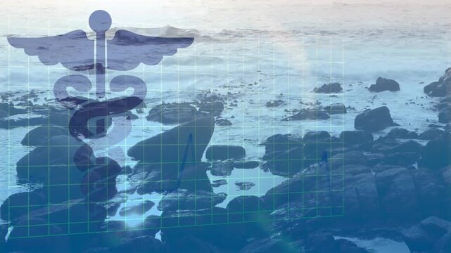 Rocky coastal shoreline showing medical caduceus overlay with green gridlines and rolling waves